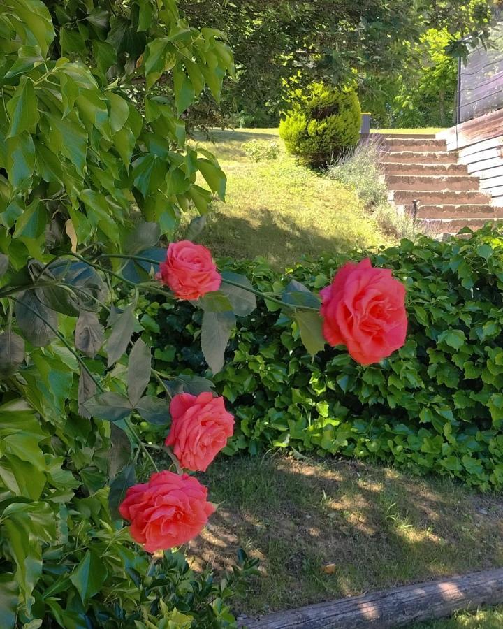 Ca'Luna Guest House Mondovì Dış mekan fotoğraf