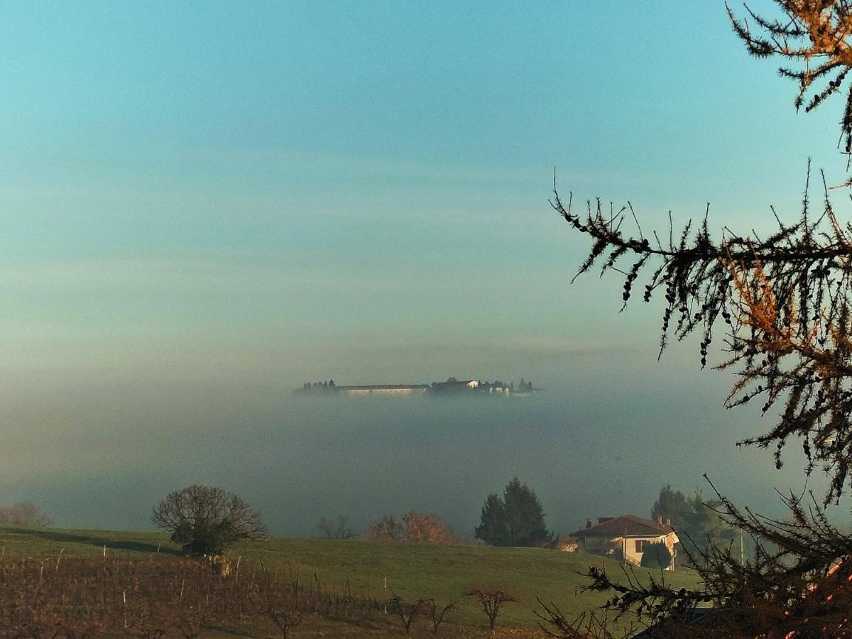 Ca'Luna Guest House Mondovì Dış mekan fotoğraf