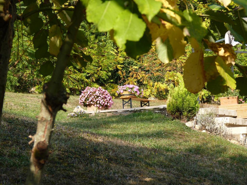 Ca'Luna Guest House Mondovì Dış mekan fotoğraf