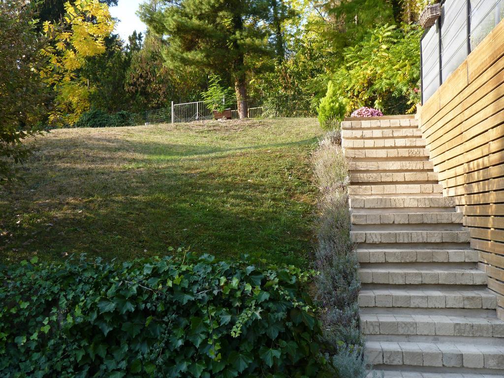 Ca'Luna Guest House Mondovì Dış mekan fotoğraf