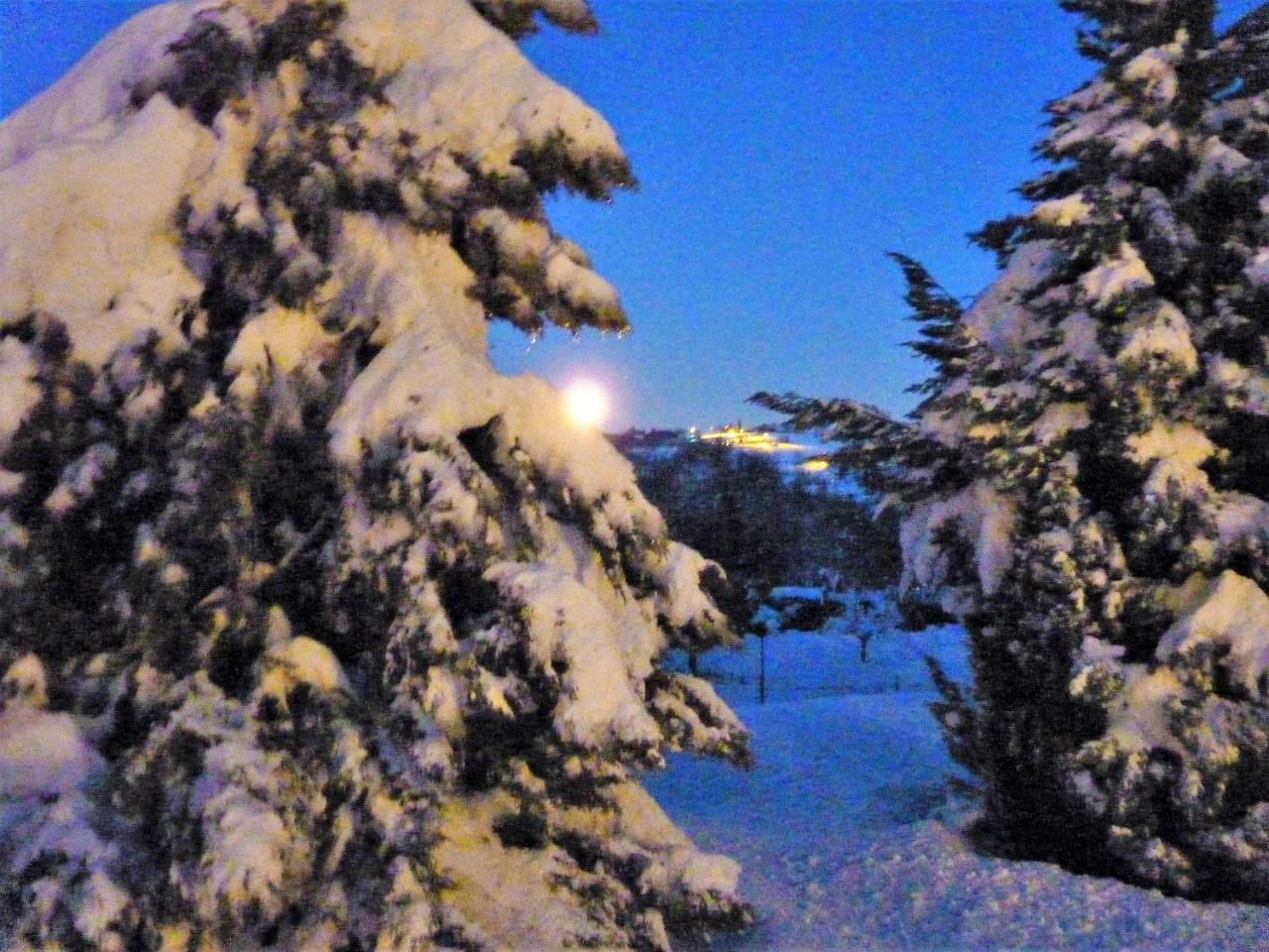 Ca'Luna Guest House Mondovì Dış mekan fotoğraf